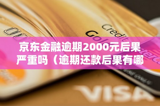 京东金融逾期2000元后果严重吗（逾期还款后果有哪些）