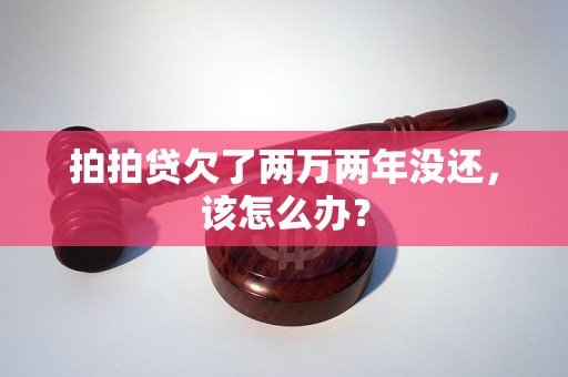 拍拍贷欠了两万两年没还，该怎么办？