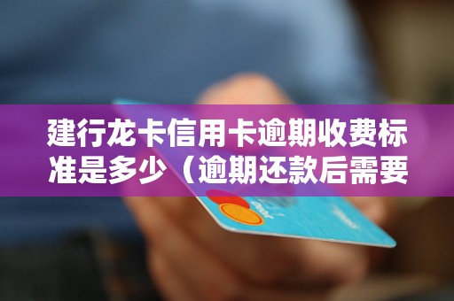 建行龙卡信用卡逾期收费标准是多少（逾期还款后需要支付的费用详解）