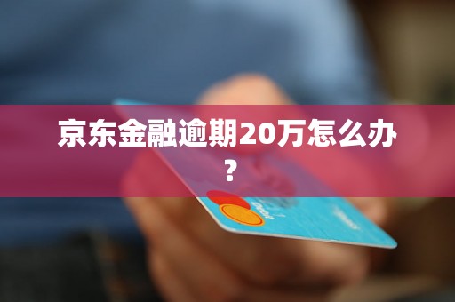 京东金融逾期20万怎么办？