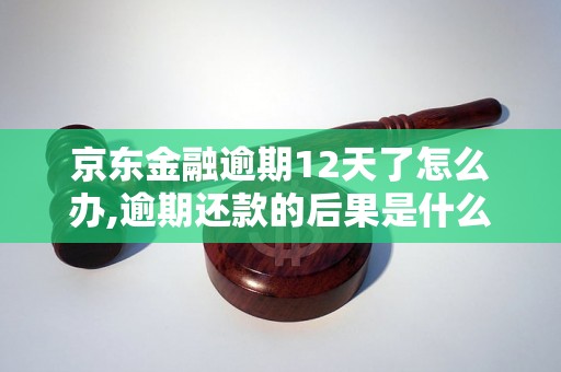 京东金融逾期12天了怎么办,逾期还款的后果是什么