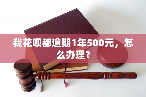 我花呗都逾期1年500元，怎么办理？