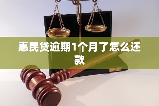 惠民贷逾期1个月了怎么还款