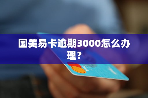 国美易卡逾期3000怎么办理？