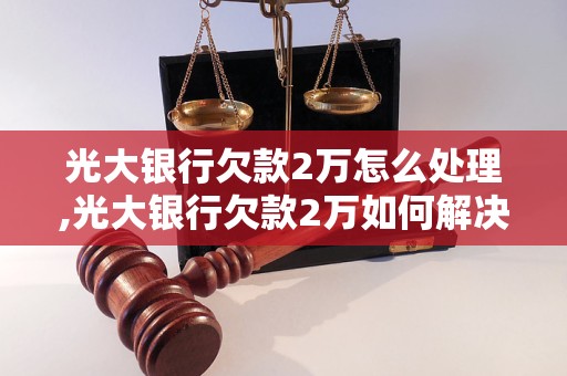 光大银行欠款2万怎么处理,光大银行欠款2万如何解决