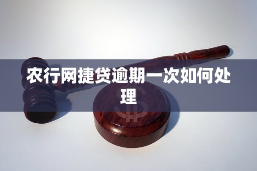 农行网捷贷逾期一次如何处理