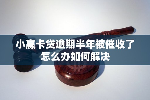 小赢卡贷逾期半年被催收了怎么办如何解决