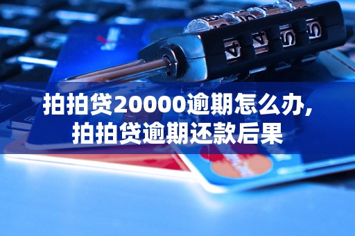 拍拍贷20000逾期怎么办,拍拍贷逾期还款后果