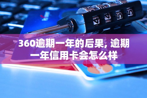 360逾期一年的后果, 逾期一年信用卡会怎么样