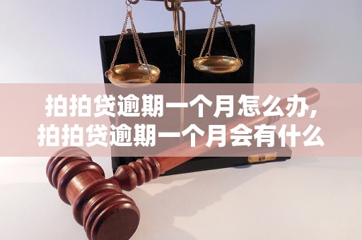 拍拍贷逾期一个月怎么办,拍拍贷逾期一个月会有什么后果