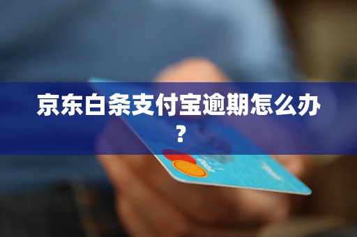 京东白条支付宝逾期怎么办？