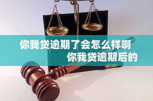 你我贷逾期了会怎么样啊                    你我贷逾期后的处罚措施有哪些                    你我贷逾期后会影响个人信用吗