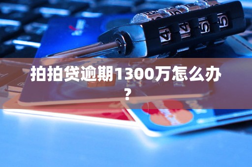 拍拍贷逾期1300万怎么办？