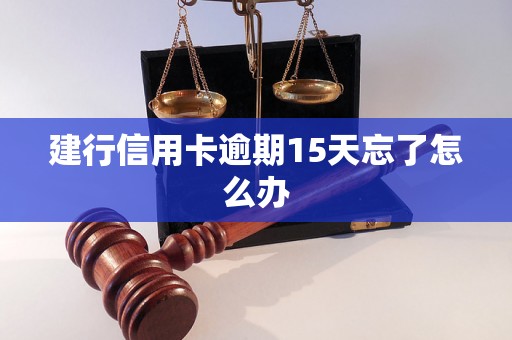 建行信用卡逾期15天忘了怎么办