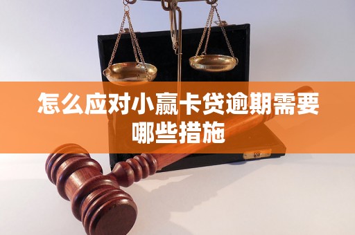 怎么应对小赢卡贷逾期需要哪些措施