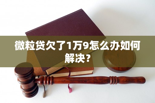 微粒贷欠了1万9怎么办如何解决？