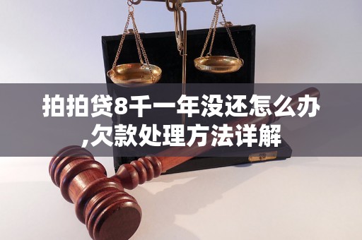 拍拍贷8千一年没还怎么办,欠款处理方法详解