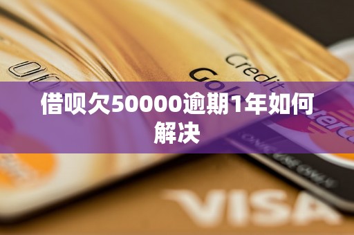 借呗欠50000逾期1年如何解决