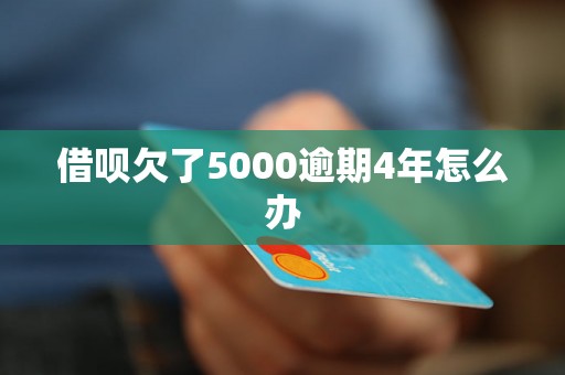 借呗欠了5000逾期4年怎么办