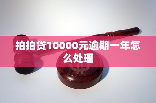 拍拍贷10000元逾期一年怎么处理