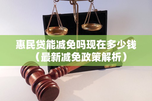 惠民贷能减免吗现在多少钱（最新减免政策解析）