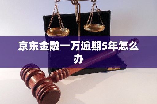 京东金融一万逾期5年怎么办