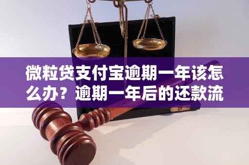 微粒贷支付宝逾期一年该怎么办？逾期一年后的还款流程解析