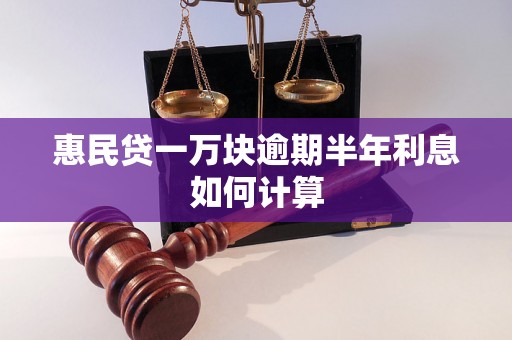 惠民贷一万块逾期半年利息如何计算