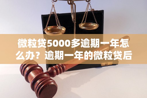 微粒贷5000多逾期一年怎么办？逾期一年的微粒贷后果及解决方法