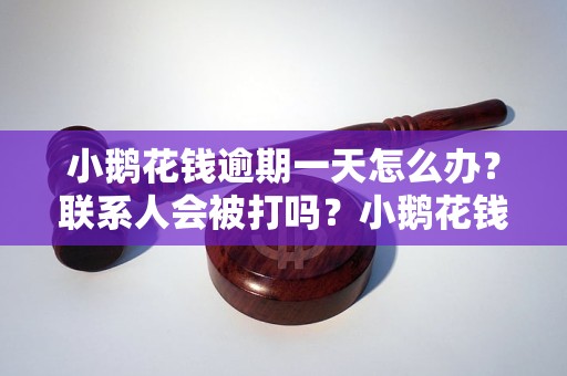 小鹅花钱逾期一天怎么办？联系人会被打吗？小鹅花钱逾期联系人会受到什么影响？