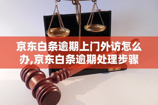 京东白条逾期上门外访怎么办,京东白条逾期处理步骤详解