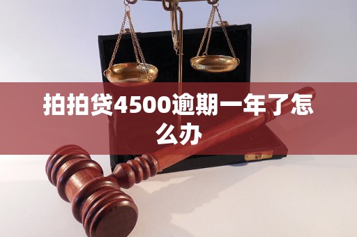 拍拍贷4500逾期一年了怎么办