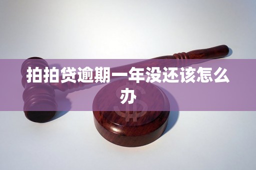 拍拍贷逾期一年没还该怎么办