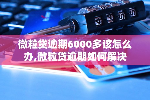 微粒贷逾期6000多该怎么办,微粒贷逾期如何解决