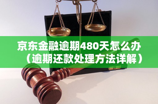 京东金融逾期480天怎么办（逾期还款处理方法详解）