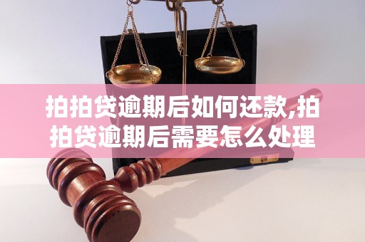 拍拍贷逾期后如何还款,拍拍贷逾期后需要怎么处理