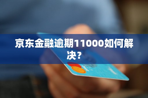 京东金融逾期11000如何解决？