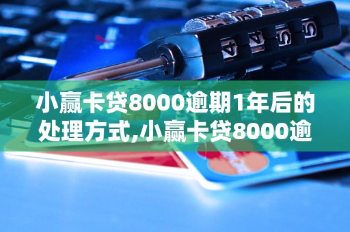 小赢卡贷8000逾期1年后的处理方式,小赢卡贷8000逾期1年后的后果