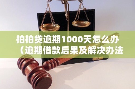 拍拍贷逾期1000天怎么办（逾期借款后果及解决办法）