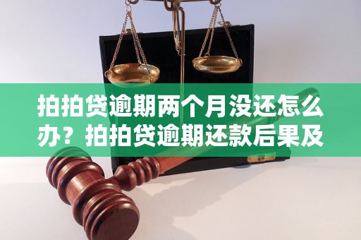 拍拍贷逾期两个月没还怎么办？拍拍贷逾期还款后果及处理方法