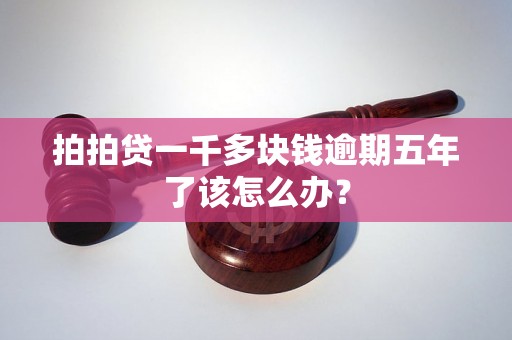 拍拍贷一千多块钱逾期五年了该怎么办？