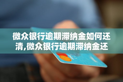 微众银行逾期滞纳金如何还清,微众银行逾期滞纳金还款方法详解