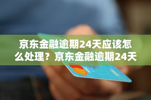 京东金融逾期24天应该怎么处理？京东金融逾期24天后的后果是什么？