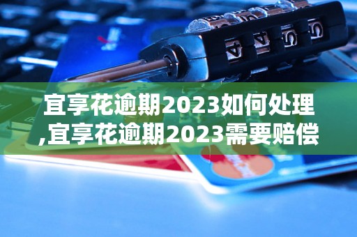 宜享花逾期2023如何处理,宜享花逾期2023需要赔偿多少钱