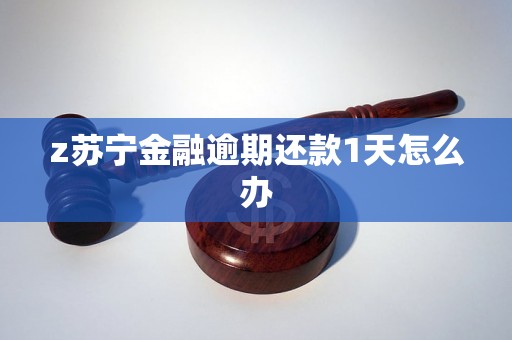 z苏宁金融逾期还款1天怎么办