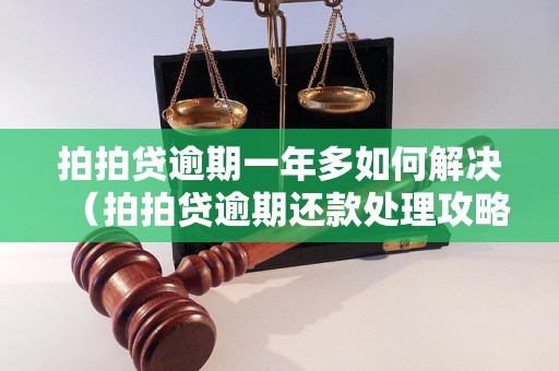 拍拍贷逾期一年多如何解决（拍拍贷逾期还款处理攻略）