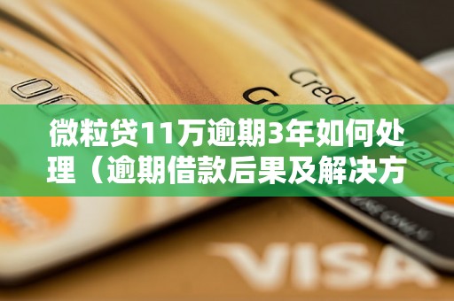 微粒贷11万逾期3年如何处理（逾期借款后果及解决方法）