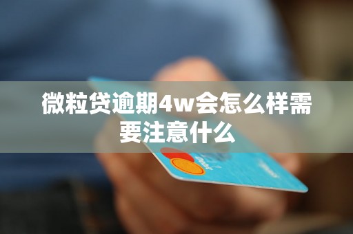 微粒贷逾期4w会怎么样需要注意什么