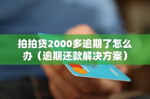 拍拍贷2000多逾期了怎么办（逾期还款解决方案）