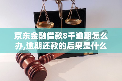 京东金融借款8千逾期怎么办,逾期还款的后果是什么